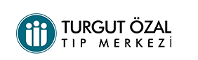 https://totm.inonu.edu.tr